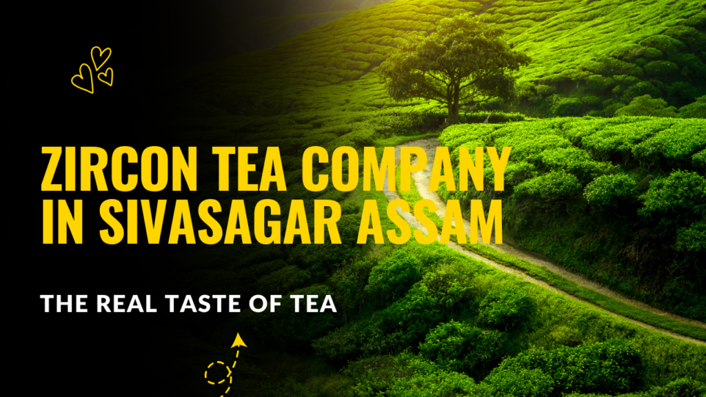 Tea Company in Sivasagar Assam