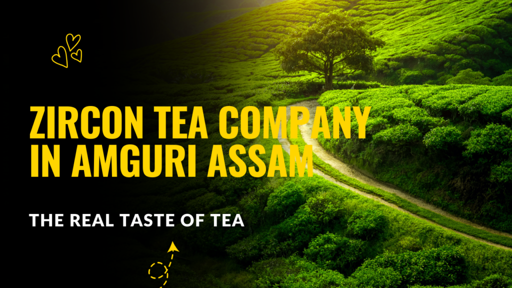 Tea Company in Amguri Assam