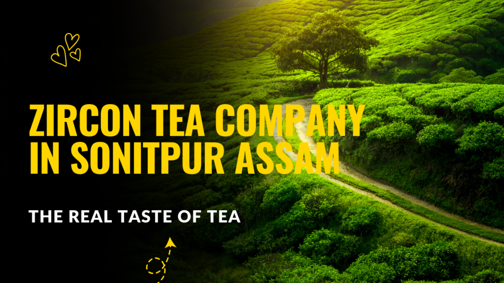 Tea Company in Sonitpur Assam