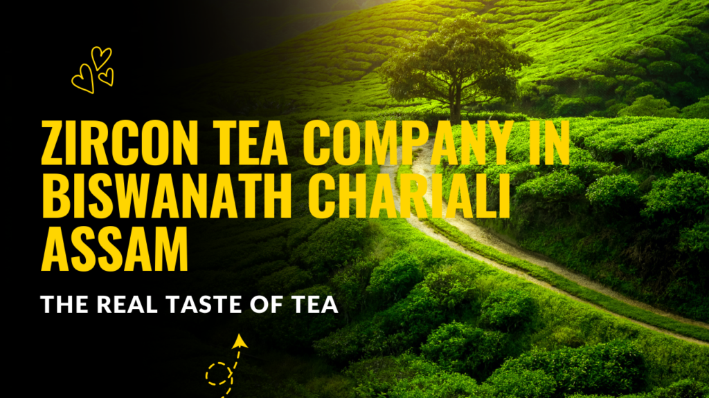 Tea Company in Biswanath Chariali Assam