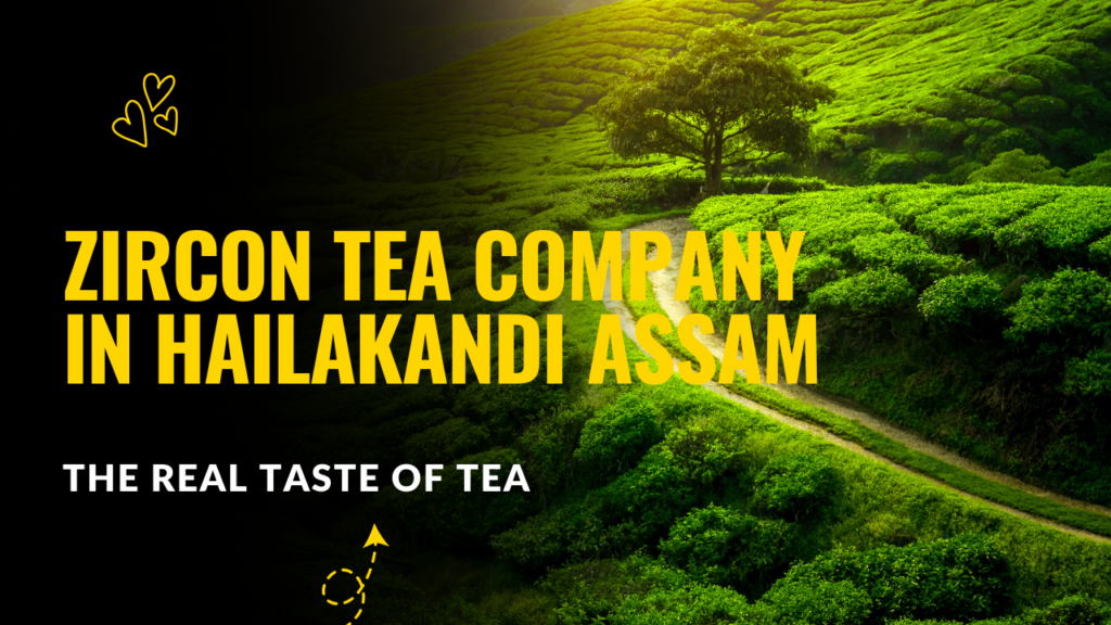 Tea Company in Hailakandi Assam