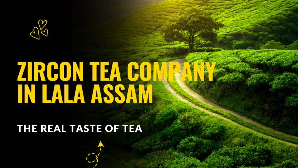 Tea Company in Lala, Assam