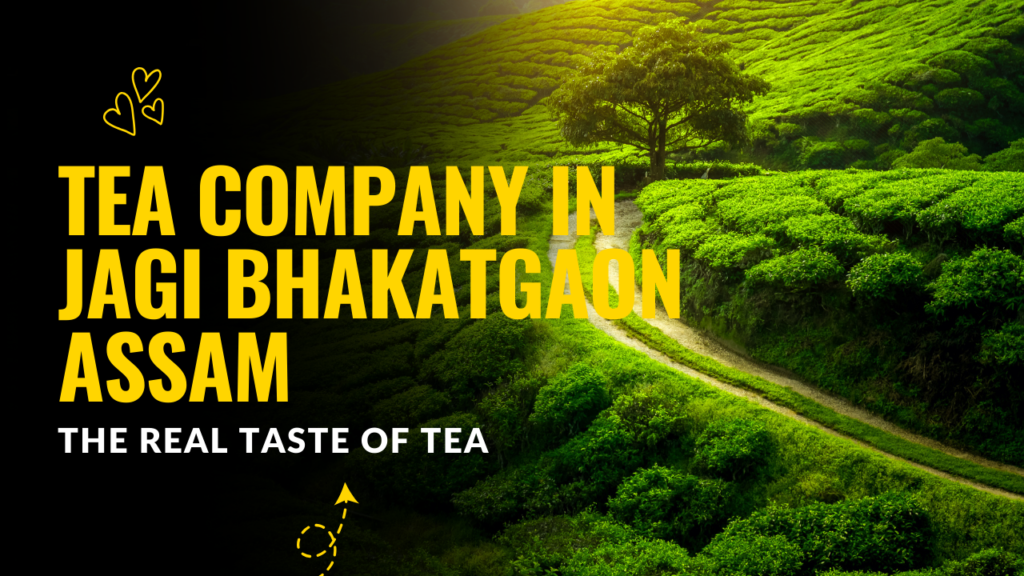 Tea Company in Jagi Bhakatgaon Assam