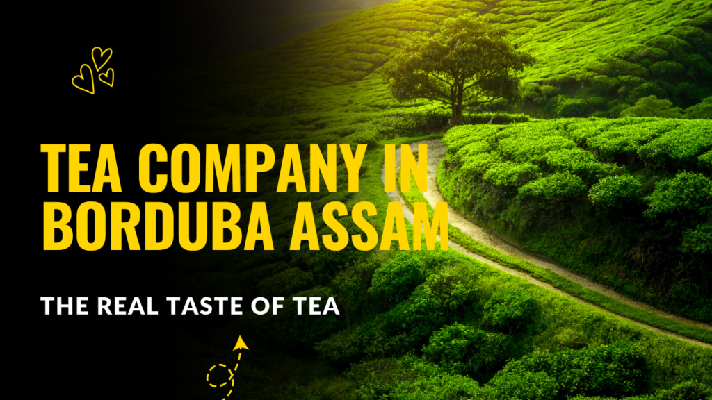 Tea Company in Borduba Assam