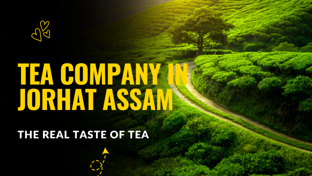 Tea Company in Jorhat Assam