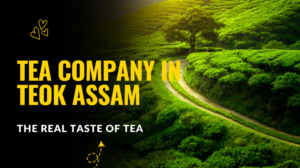 Tea Company in Teok Assam