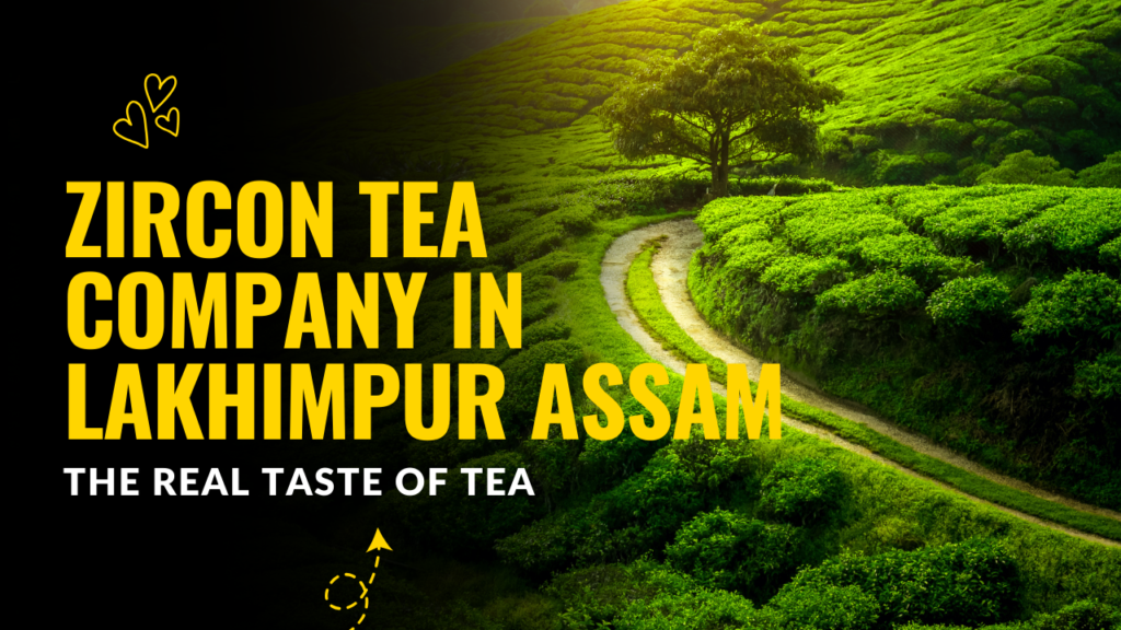 Tea Company in Lakhimpur Assam