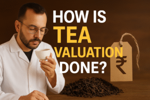How is Tea Valuation Done? | Understanding Tea Valuation | Professional Tea Valuation Guide